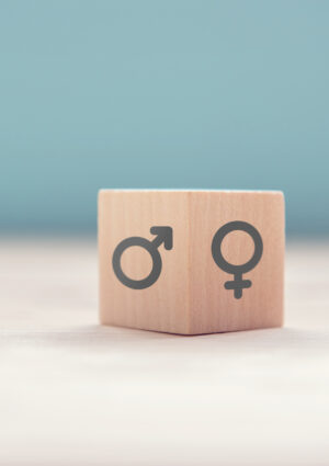 Index égalité Femmes Hommes – Magri – Pôle Bois Standard et Technique