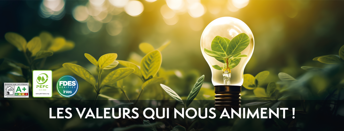 Environnement v2